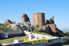 MAGACELA