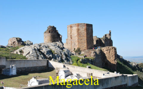 MAGACELA