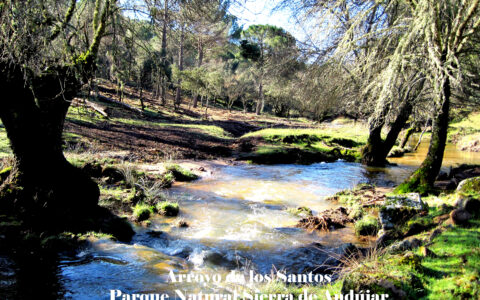 antes aldea cerezoArroyo de los Santos - Parque Natural Sierra de Andújar